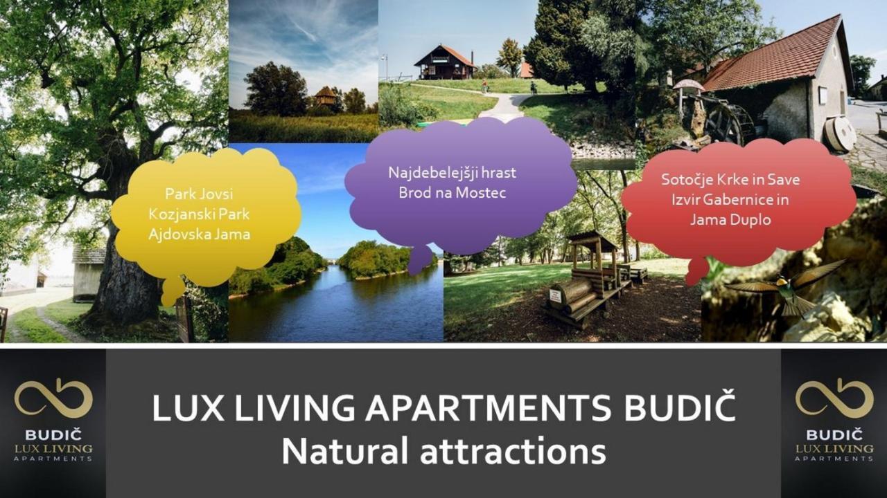 Lux Living Apartments Budic Near Terme Catez Brezice Bagian luar foto