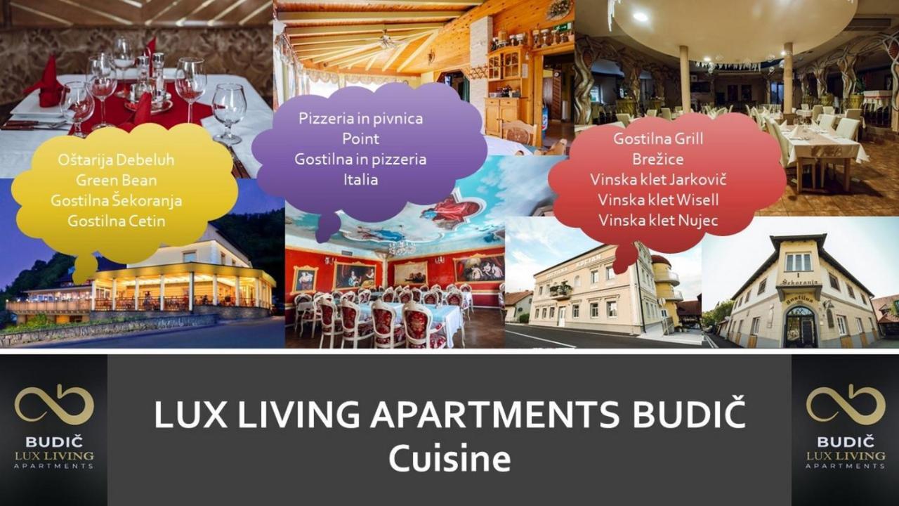 Lux Living Apartments Budic Near Terme Catez Brezice Bagian luar foto